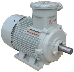 防爆5.5kW高压风机 原理、应用与选型指南